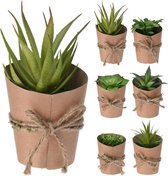 Kunstvetplant Potjes Set - Bruin / Groen - Kunststof / Karton - h 11 cm - Set Van 2 - Assorti