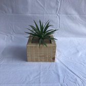 Plantenbakje kubus | landelijk plantenbakje 14 x14 x 9.5 cm | Handgemaakt van gerecycled pallethout