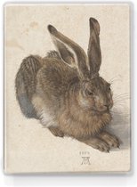 Haas - Albrecht Durer - 19,5 x 26 cm - Niet van echt te onderscheiden schilderijtje op hout - Mooier dan een print op canvas - Laqueprint.