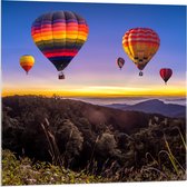 Acrylglas - Regenboogkleurige Luchtballonnen boven Berggebied - 80x80cm Foto op Acrylglas (Wanddecoratie op Acrylglas)