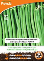 Protecta Groente zaden: Extrafijne struikboon PONGO