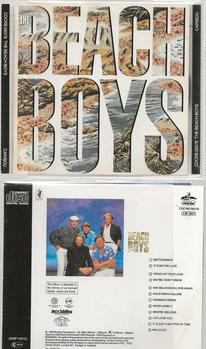 The Beach boys - Beach Boys