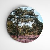 muurcirkel Heide Sevenum - natuurprint