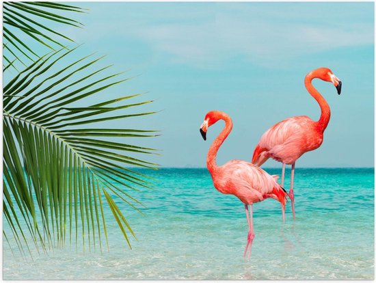 Poster – Twee Flamingo's in Zee met Palmblad - 40x30cm Foto op Posterpapier