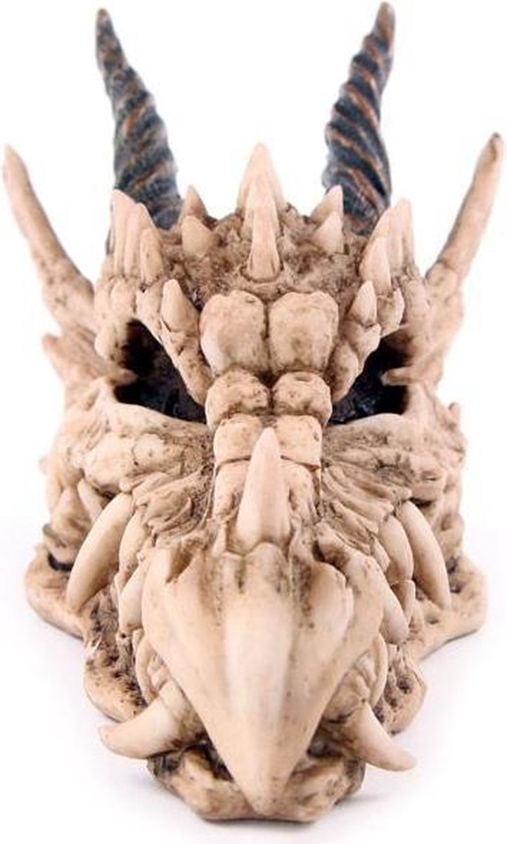 Dragon Skull Money Box spaarpot