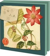 Kaartenmapje met 10 kaarten en enveloppen, vierkant: Naturalis bloemen