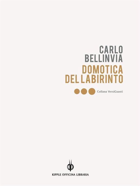 VersiGuasti 18 - Domotica del labirinto