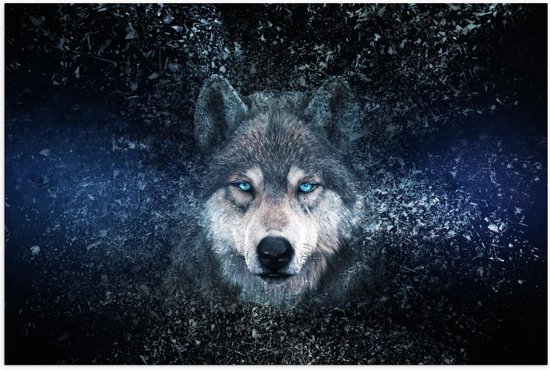 Poster – Fel Blauwe Ogen bij Wolf - 60x40cm Foto op Posterpapier