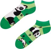 Dedoles Enkel Sokken - Panda & Strepen - 43-46