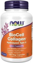 BioCell Collagen Hydrolyzed Type II 120v-caps