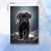 Diamond Painting Pakket Puppy Hond Labrador - vierkante steentjes - 30 x 40 cm