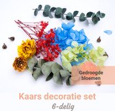 6 Delige Steentjes Set Voor Kaarsen Maken Volwassenen - Gedroogde Bloemen Decoratie - Knutselen Meisjes - Sojawas - Soja Wax - Kaarslonten - Hergebruiken Kaarsvet - Kerstcadeau Voor Volwassen