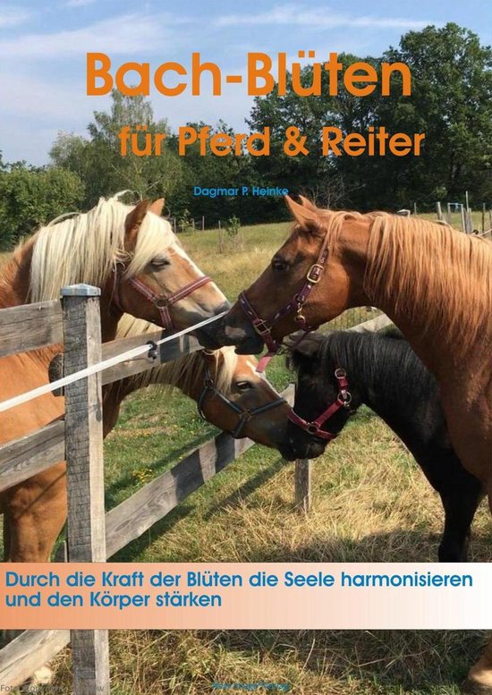 Sanft heilen mit Bach-Blüten für Pferd & Reiter - cover