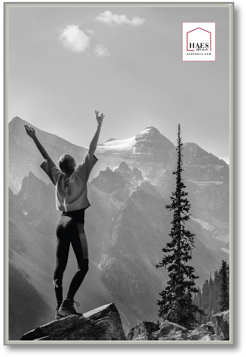 HAES deco - Kunststof fotolijst 40x60 zilver Easy Frame - EF9S