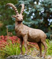 Bronzen Beeld:  Steenbok