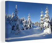 Canvas Schilderij Een pak sneeuw bedekt de naaldbomen van het nationaal Park Harz in Duitsland - 60x40 cm - Wanddecoratie