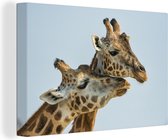 Canvas Schilderij Giraffes - Dieren - Lucht - 30x20 cm - Wanddecoratie