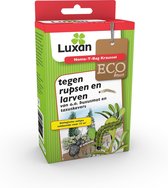 Luxan Nema-T-Bag Kraussei Aaltjes tegen Rupsen en Larven