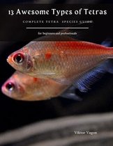 13 Awesome Types of Tetras: Complete Tetra Species Guide
