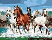 Schilderen op Nummer - Wilde Paarden - Painting by Numbers - 50x40 cm - Complete Set