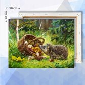 Schilderen op nummer pakket Egel in het bos - 50 x 40 cm  - met frame