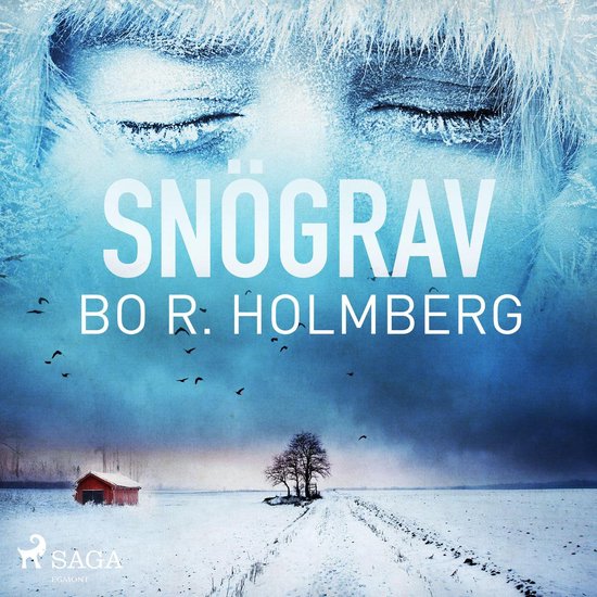 Snögrav - cover