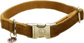 Kentucky Dogwear Hondenhalsband Velvet - Mosterd M - 36-52cm