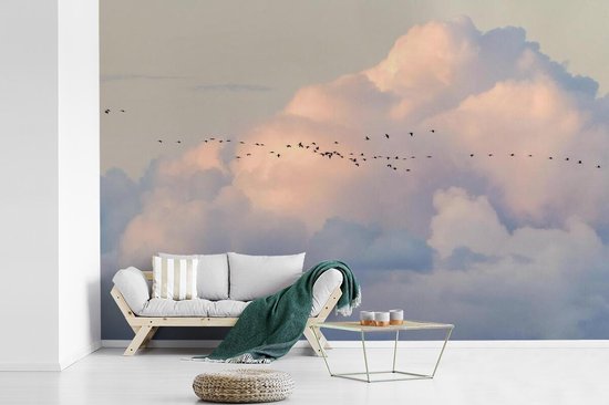 Volée d'oiseaux dans le ciel 600x400 cm