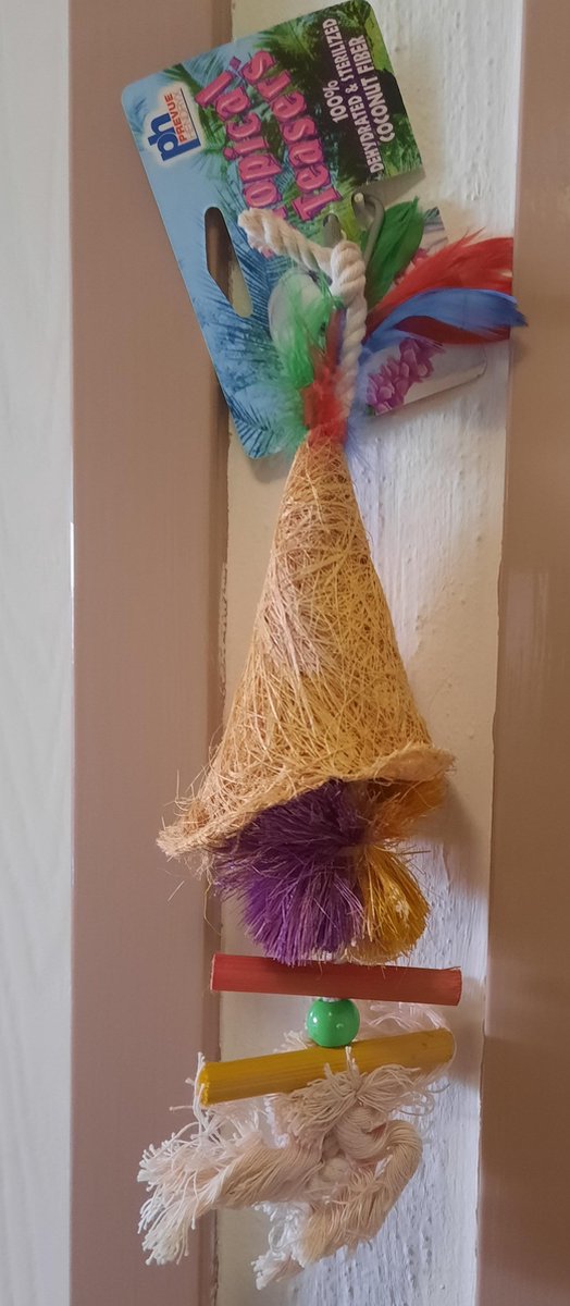 Vogelspeelgoed tropical T