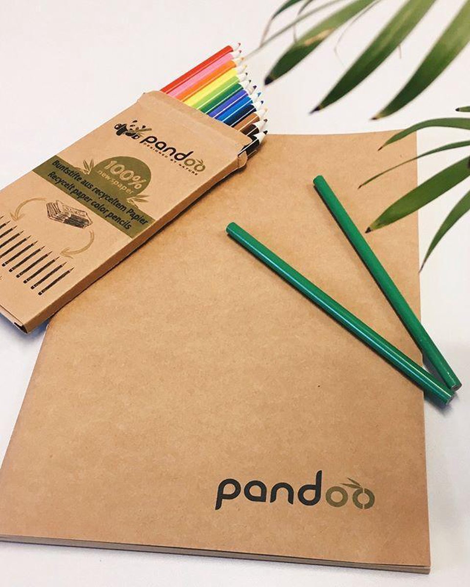 Pandoo notitieboek in 5x A5 & 5x A4 + 12 kleurpotloden + 12 zwarte potloden - Gerecycled papier - bamboe