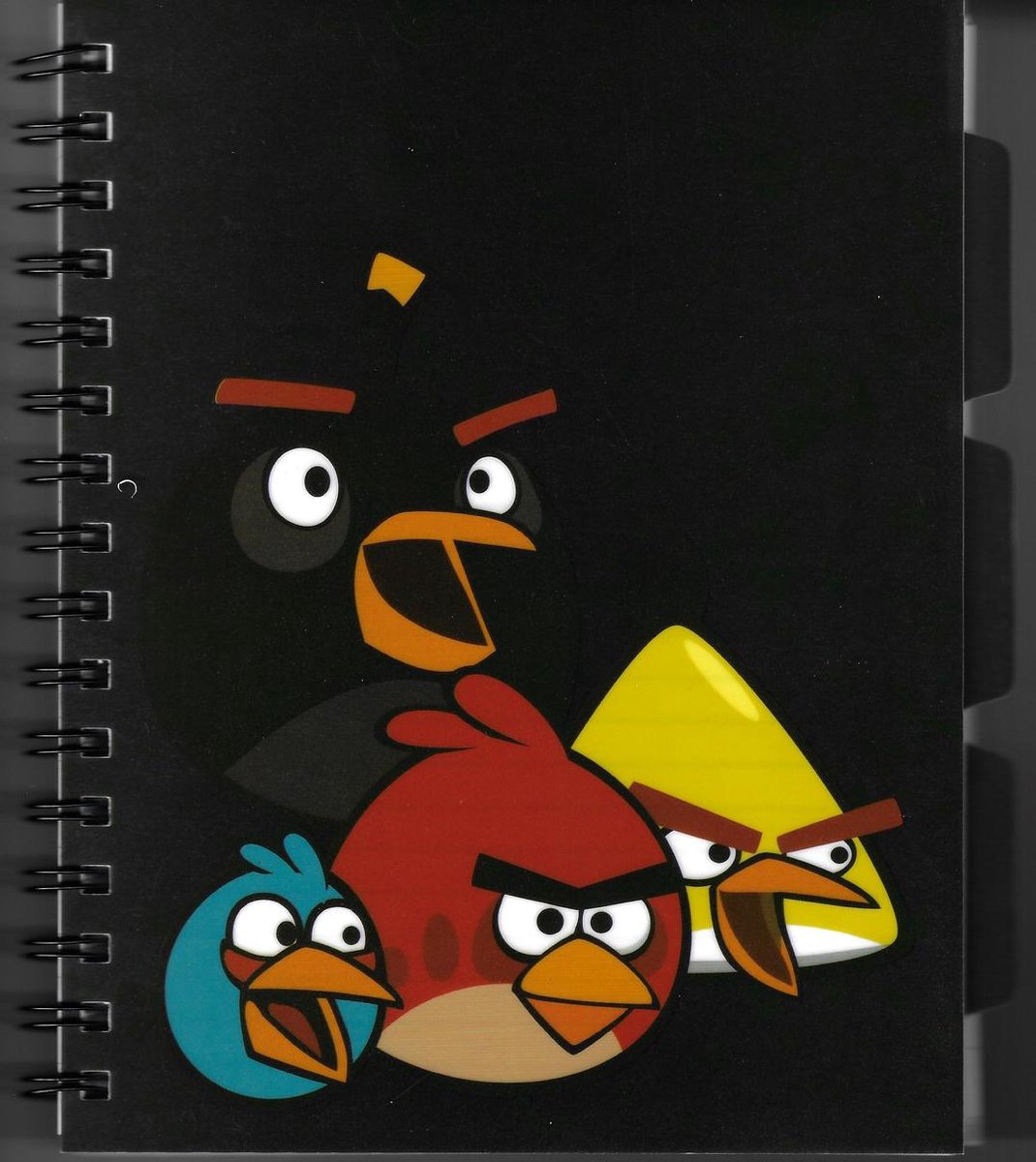 Verhaak - Angry Birds - Project boek A5