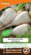 Protecta Groente zaden: Tuinraap wit