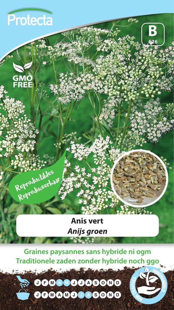 Protecta Kruiden zaden: Anijs groen