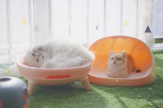 Katten bed met kruik, kussen en schommel mogelijkheid - roze