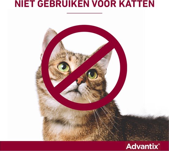 Een tabby kat met een rood 'verboden' teken eroverheen.