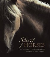 Spirit Horses