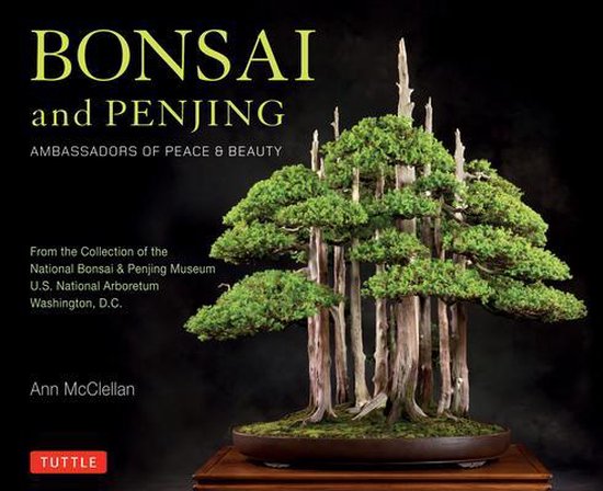 Foto: Bonsai and penjing