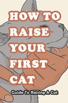 How To Raise Your First Cat: Guide To Raising A Cat