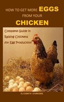 How to Get More Eggs from Your Chicken