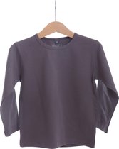 BeeLittle - T-shirt lange mouw - grijs - maat 104