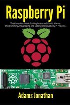 Raspberry Pi: The Complete Guide for Beginners and Pro to Master Programming, Developing and Setting up Raspberry Pi Projects