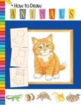 How To Draw Animals