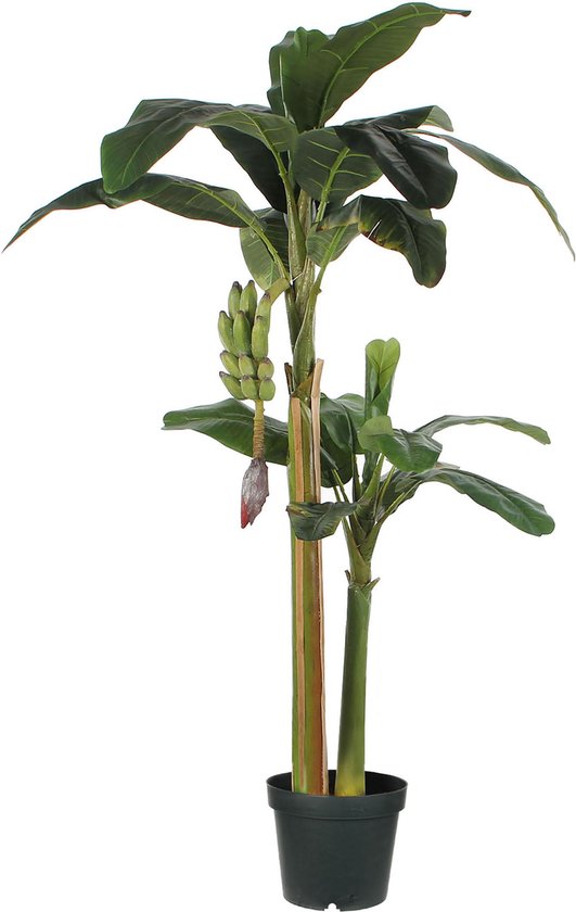Mica Decorations Bananenboom Kunstplant - H180 x Ø115 cm - groen