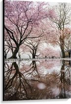 Canvas  - Bos met Mooie Bomen met Roze Bloesem - 80x120cm Foto op Canvas Schilderij (Wanddecoratie op Canvas)