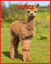 Alpaca