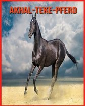 Akhal-Teke-Pferd