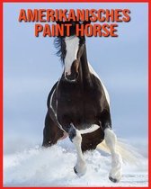 Amerikanisches Paint Horse