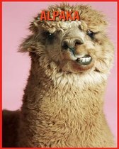 Alpaka
