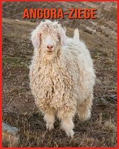 Angora-Ziege