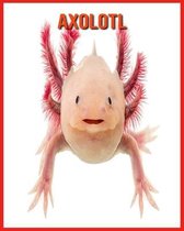 Axolotl